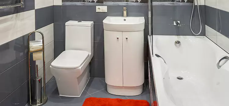 Hansgrohe Shaving Mirror Malden